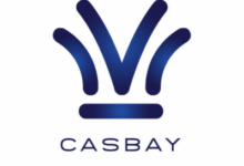 Casbay马来西亚 KVM VPS/独立服务器/不限流量/新增 Mac mini M4/$109/月起-主机选用