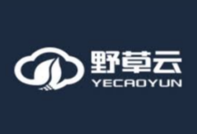 野草云，香港轻量云，199元/年，4核/8G内存/90G SSD/300M国际@3T流量-主机选用